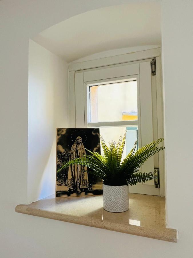 Casa Fonti Unita Apartment Trieste Ngoại thất bức ảnh